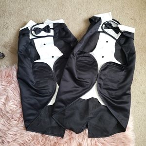 Dog Tuxedo